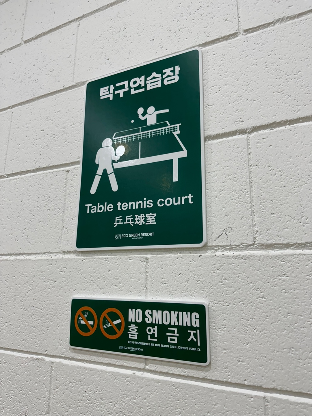 에코그린 탁구장 전경 1
